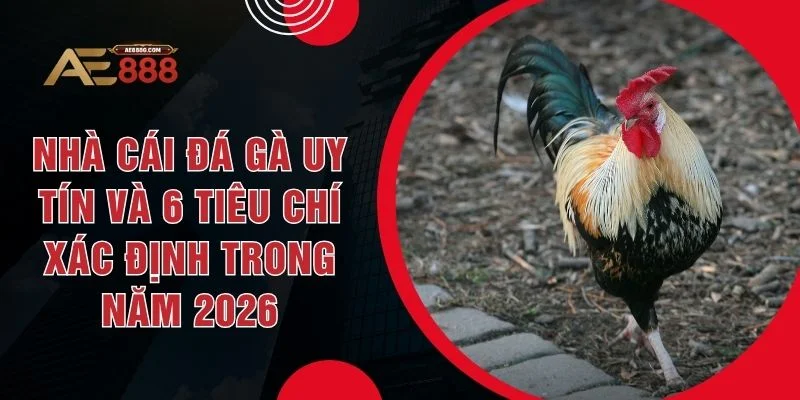 Nhà Cái Đá Gà Uy Tín Và 6 Tiêu Chí Xác Định Trong Năm 2026 - Dohazi